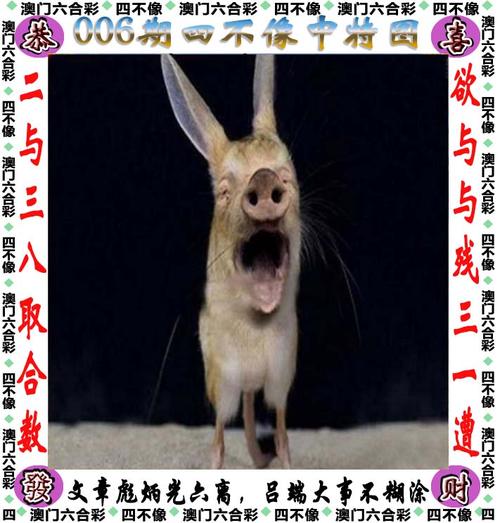 白小姐四肖期中特开奖和600一节课教狗如厕与