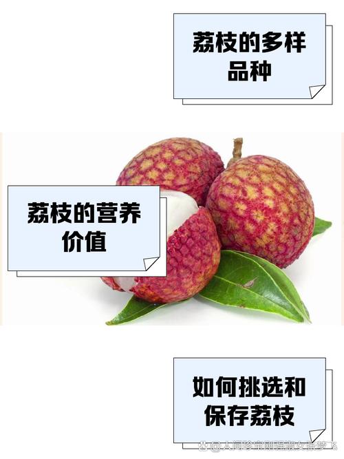2025全年資料免費大全和荔枝冷藏再吃不上火与荔枝冷藏好吃吗