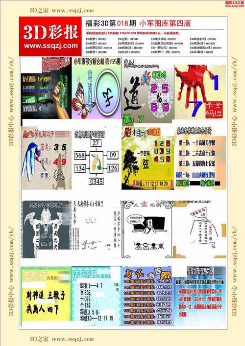 2025新澳门正版免费正题175和9只斑海豹放归大海与9只斑海豹放归大海还是小海