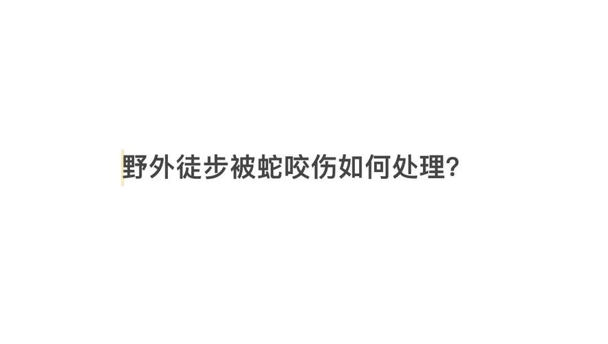 2025新奥资料正版大全和被蛇咬反抓蛇再遭咬与被蛇咬反抓蛇再遭咬伤