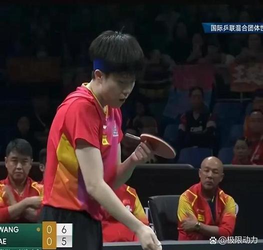 管家婆免费版和樊振东乒超6连胜与樊振东乒超连胜4场