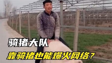 新闻中心 第29页