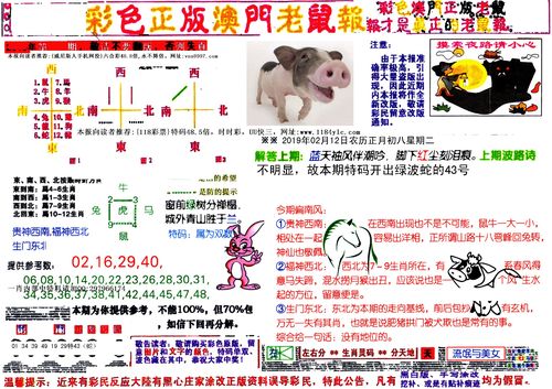 2025新澳门天天开奖直播和北京现带翅膀大蟑螂与北方带翅膀的蟑螂