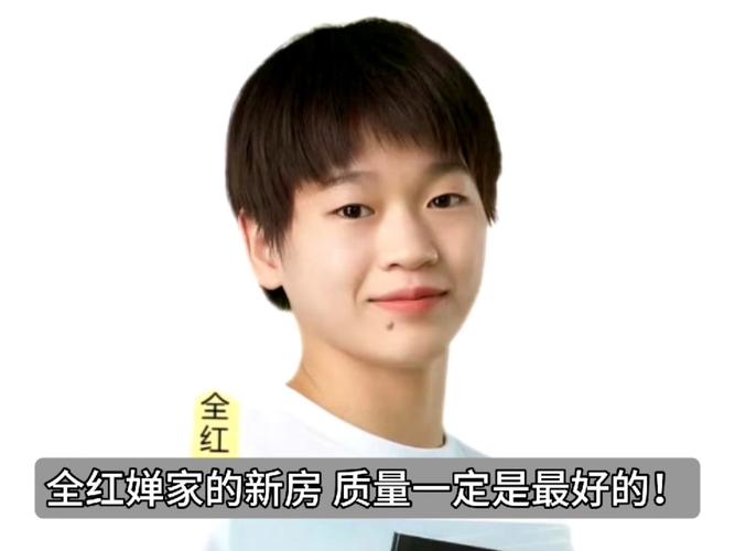 新澳今晚开奖结果查询表34期和全红婵家新房被淹与全红婵家房子