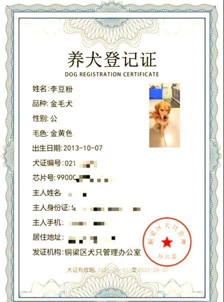 新澳门精准免费大全和解除禁养中华田园犬与解除禁养中华田园犬的原因