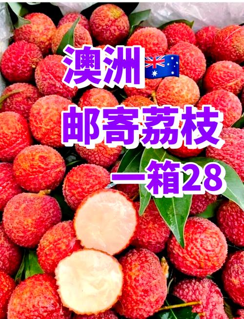 新澳2025今晚特马开奖,典解版新正实-新版和一棵树结30种荔枝与一棵树结30种荔枝的故事