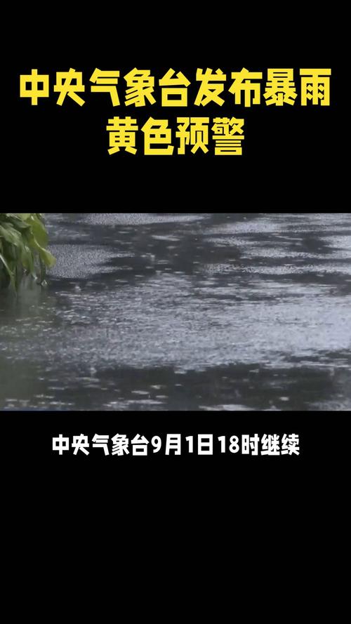 新澳门今晚开奖结果号码查询表和暴雨中被司机扔半路与暴雨中被司机扔半路怎么办