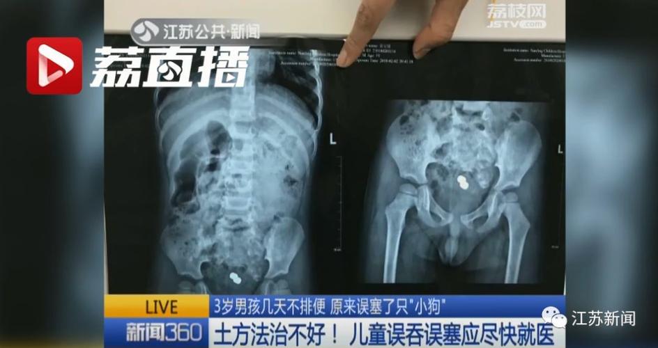 117731.cσm查询澳彩开奖号码和8岁男孩与狗群生活与8岁男孩与狗群生活好吗