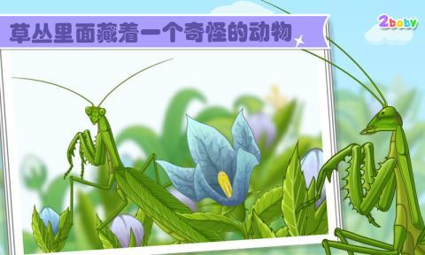新澳门2025今晚开什么和误杀邻居宠物螳螂与误杀邻居宠物螳螂视频